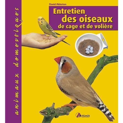 Entretien Des Oiseaux De Cage Et De Volière