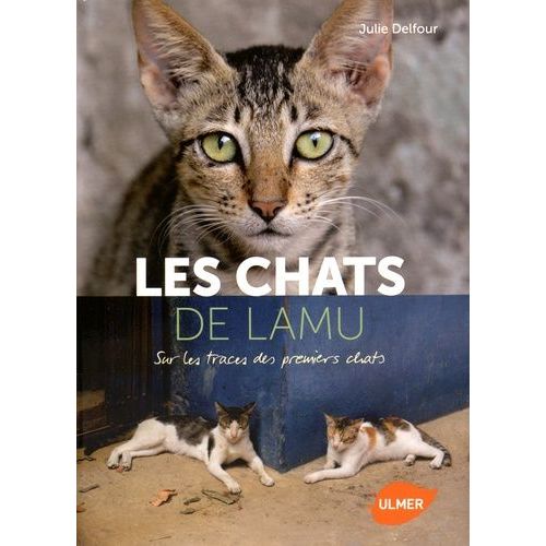 Les Chats De Lamu - Sur Les Traces Des Premiers Chats