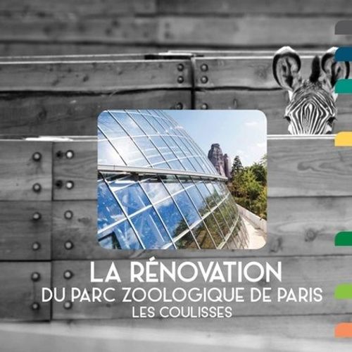 La Rénovation Du Parc Zoologique De Paris - Les Coulisses
