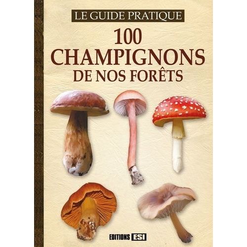 100 Champignons De Nos Forêts