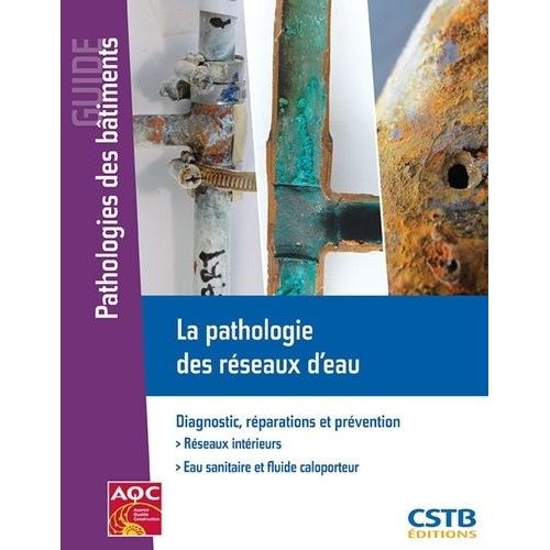 La Pathologie Des Réseaux D'eau - Diagnostic, Réparations Et Prévention