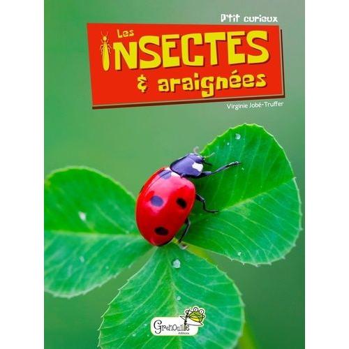 Les Insectes Et Araignées