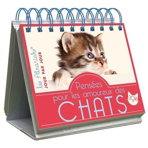 Pensées Pour Les Amoureux Des Chats