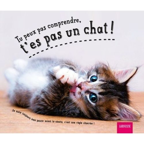 Tu Peux Pas Comprendre, T'es Pas Un Chat !