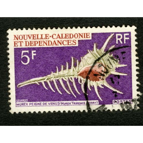 Timbre Oblitéré Nouvelle Calédonie Et Dépendances, Murex Peigne De Venus, Postes, Rf, 5 F, Pheulpin