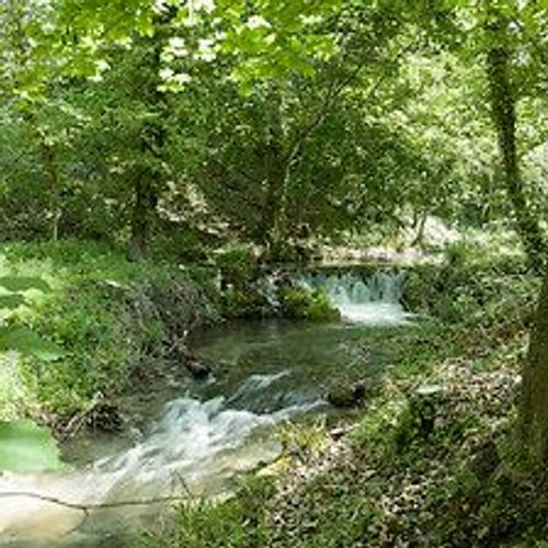 Papier peint panoramique intiss?, au mileu des bois au bord d'un ruisseau, entour? d'une nature luxuriante pour un d?cor XXL, 270 cm X 250 cm