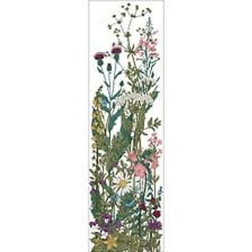 Papier peint panoramique intiss?, illustration d'une prairie sauvage, dans un m?lange de fleurs et d'herbes hautes, 200 cm X 75 cm