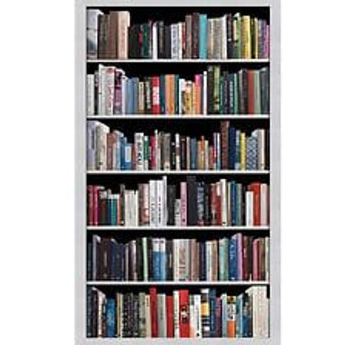Papier peint panoramique intiss?, papier intiss?, photo d'une biblioth?que moderne remplie de livres, m?lange de litt?rature, 250 cm X 150 cm