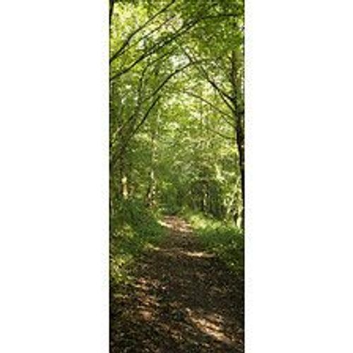 Papier peint panoramique intiss?, photo promenade dans la for?t, chemin for?stier , 250 cm X 96 cm