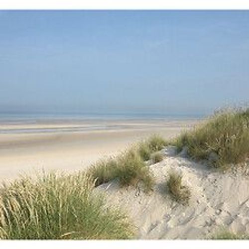 Papier peint panoramique intiss?, photographie dans les dunes avec la vue sur le bord de mer, 250 cm X 270 cm