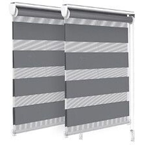 VOUNOT Lot de 2 Store enrouleur jour nuit double 55x150cm Gris