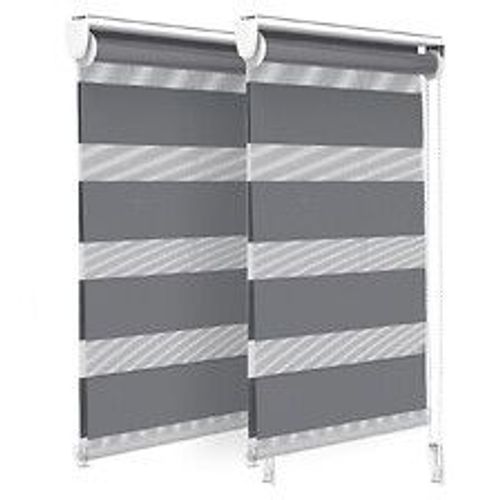 VOUNOT Lot de 2 Store enrouleur jour nuit double 45x150cm Gris
