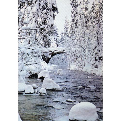 Carte Postale Xx Eme Siecle N°196 - Gerardmer - 88 - Vosges - Le Pont Des Fees En Hiver