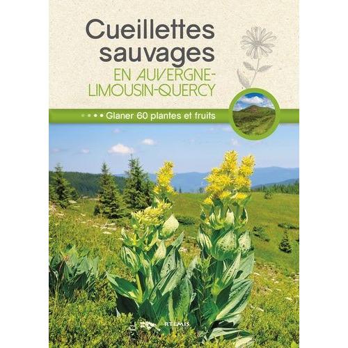 Cueillettes Sauvages En Auvergne-Limousin-Quercy - 60 Plantes Et Fruits À Glaner