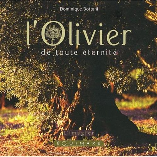 L'olivier De Toute Éternité