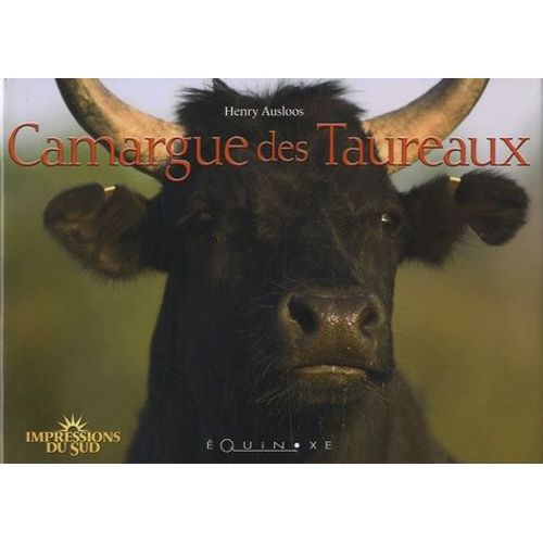 Camargue Des Taureaux