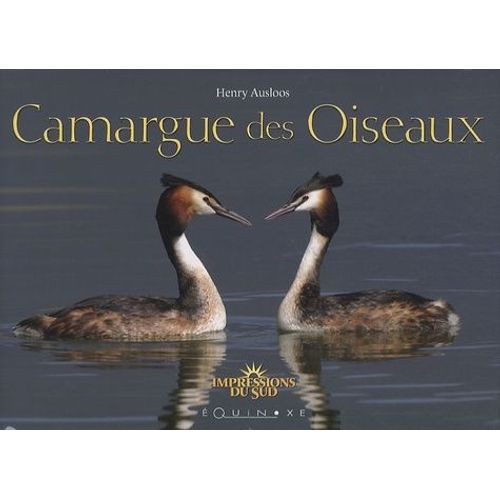 Camargue Des Oiseaux