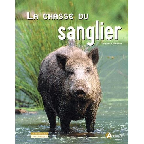 La Chasse Du Sanglier