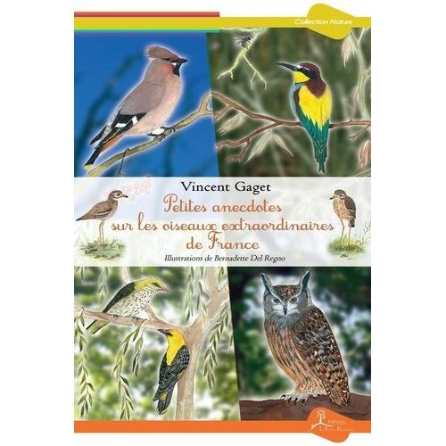 Petites Anecdotes Sur Les Oiseaux Extraordinaires De France