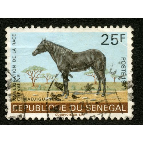 Timbre Oblitéré République Du Sénégal, Amélioration De La Race Chevaline Madjiguene, Postes 1971, 25 F, Courvoisier