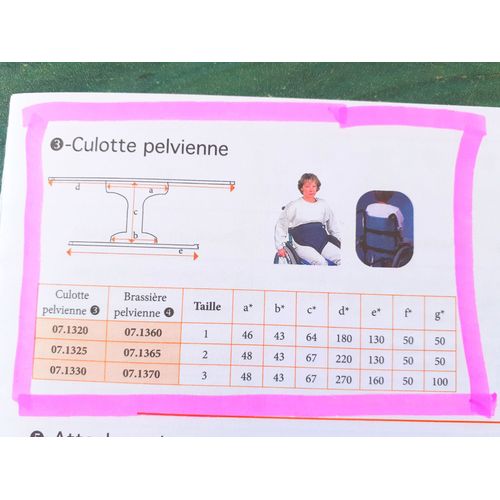 Ceinture Culotte Pelvienne