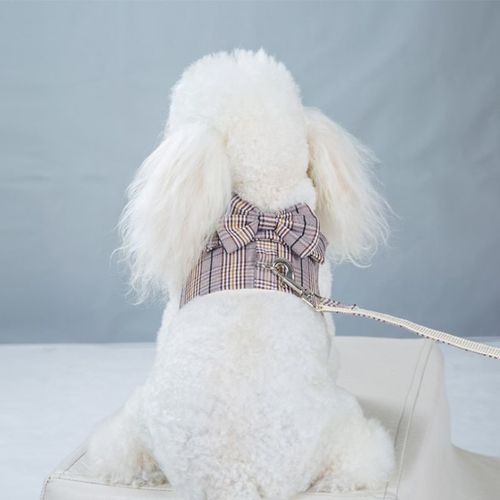 Robe D'été En Coton Pour Chien,Vêtement Pour Animaux De Compagnie,Jupe,Chiot,Printemps - Type Purple Bow-Xl