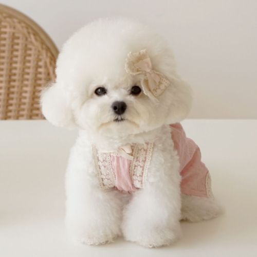 Robe D'été En Dentelle Pour Chien,Vêtements Pour Chiot,Écharpe,Printemps,Jupe Bichon Teddy,Robe De Mariage Pour Animaux De Compagnie - Type Pink(Bowknot)-S