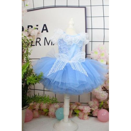 Robe De Mariée Blanche Brodée À La Main En Dentelle Pour Petit Chien,Robes Tutu Princesse Bowvétérans T,Vêtements Pour Animaux De Compagnie,Mode Chiot - Type Blue-L