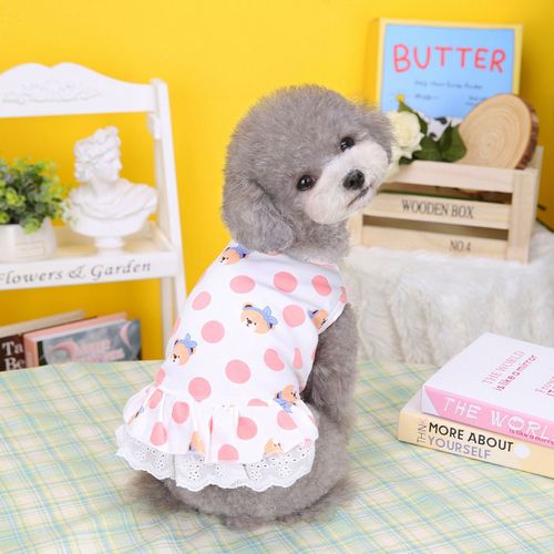 Robe De Mignonne Pour Chiot Au Nom De Teddy,Vêtements Pour Animaux De Compagnie,Jupe Pour Chien,Usine De Vêtements,Printemps Et Été,2023 - Type Pink-L