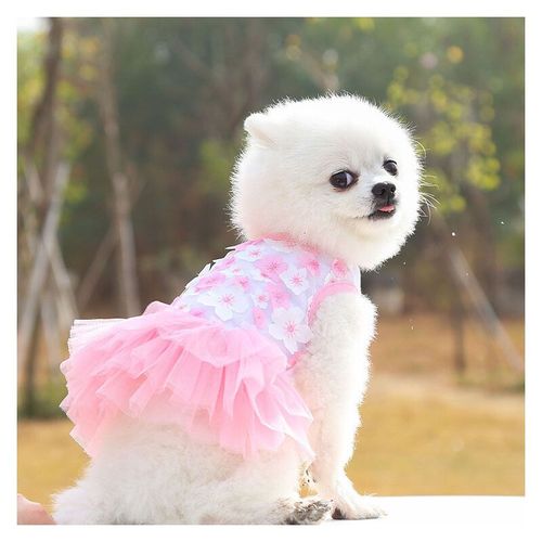 Vêtements Pour Petits Chiens Et Filles,Jupe Pour Chiot,Robe De Princesse En Gaze,Vêtements Pour Animaux De Compagnie À Fleurs Mignonnes,Tenue De Festival De Vacances Pour Chiots - Type Pink-S