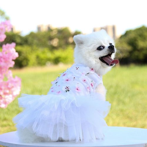 Vêtements Pour Petits Chiens Et Filles,Jupe Pour Chiot,Robe De Princesse En Gaze,Vêtements Pour Animaux De Compagnie À Fleurs Mignonnes,Tenue De Festival De Vacances Pour Chiots - Type White-M