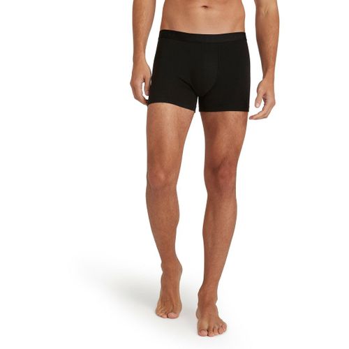 Hommes Boxer Daily Climawool