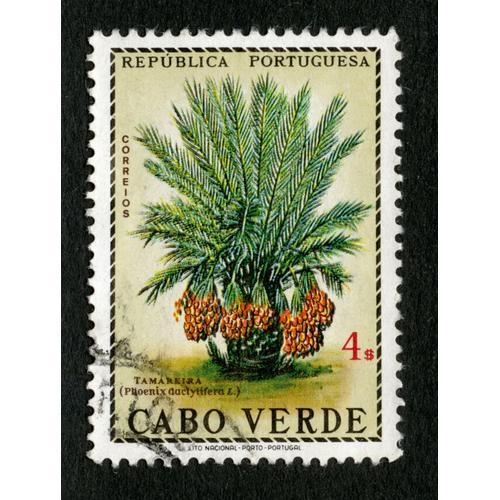 Timbre Oblitéré Cabo Verde, Republica Portuguesa, Correios, Tamareira, 4s