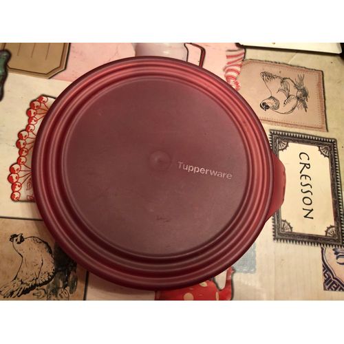 Plat De Service 27 Cm Tupperware Bordeaux 