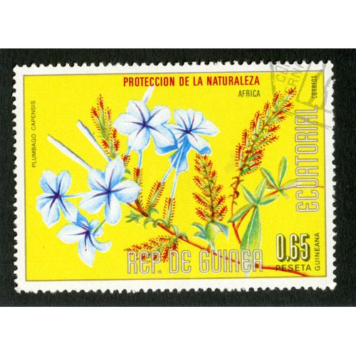 Timbre Oblitéré Rep.De Guinea Ecuatorial, Proteccion De La Naturaleza, Africa, Plumbago Capensis, 0.65 Peseta, Correos