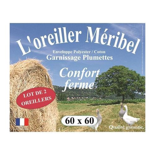 Dodo Lot De 2 Oreillers Meribel Plumettes 60x60cm