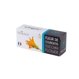Lingot Fleur De Courgette Bio Pour Potager Véritable