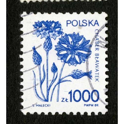 Timbre Oblitéré Polska, Chaber Blawatek, 1989, Zl 1000, Malecki