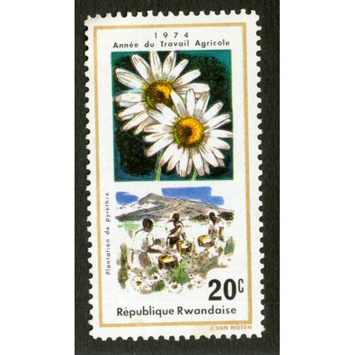 Timbre Non Oblitéré République Rwandaise, Plantation De Pyrethre, 1974, Année Du Travail Agricole, 20 C, Van Noten