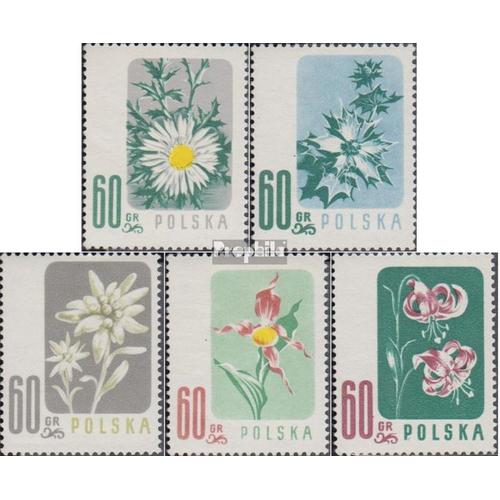 Pologne 1020-1024 (Complète Edition) Neuf Avec Gomme Originale 1957 Protégées Fleurs