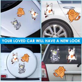 Stickers véhicule humour à acheter en ligne