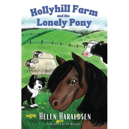 Hollyhill Farm And The Lonely Pony