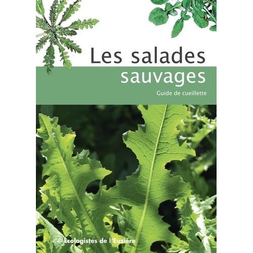 Les Salades Sauvages - Guide De Cueillette