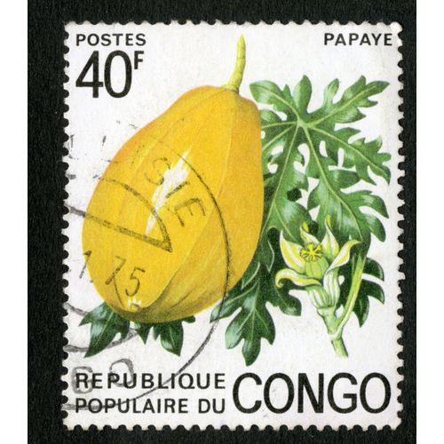 Timbre Oblitéré République Populaire Du Congo, Papaye, Postes, 40 F