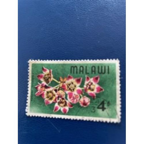Timbre Du Malawi - Calotropis Procera 4d