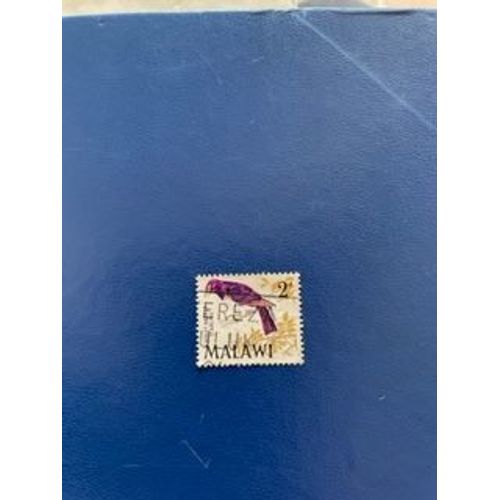 Timbre Du Malawi - Violet Backbo Starling - 2d