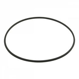Hayward - Joint torique de corps de filtre - Noir - DEX2422Z2