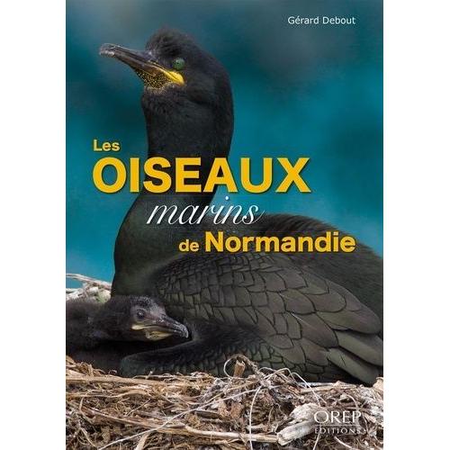 Les Oiseaux Marins De Normandie