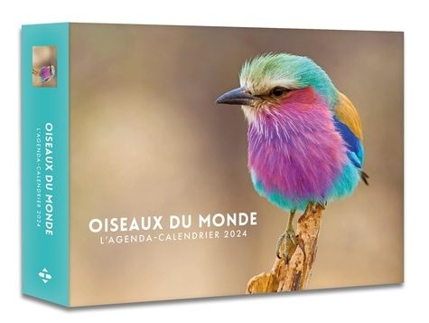 Calendrier mural Oiseaux grandeur nature 2024 - Guilhem Lesaffre