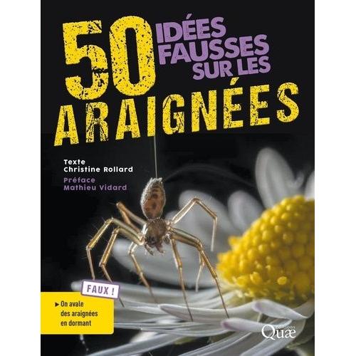50 Idées Fausses Sur Les Araignées